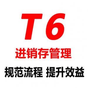 用友T6-企业管理软件