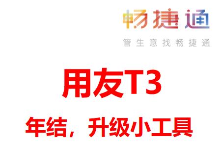 T3版升级、年结报错小助手